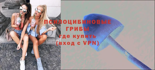 MESCALINE Алексеевка